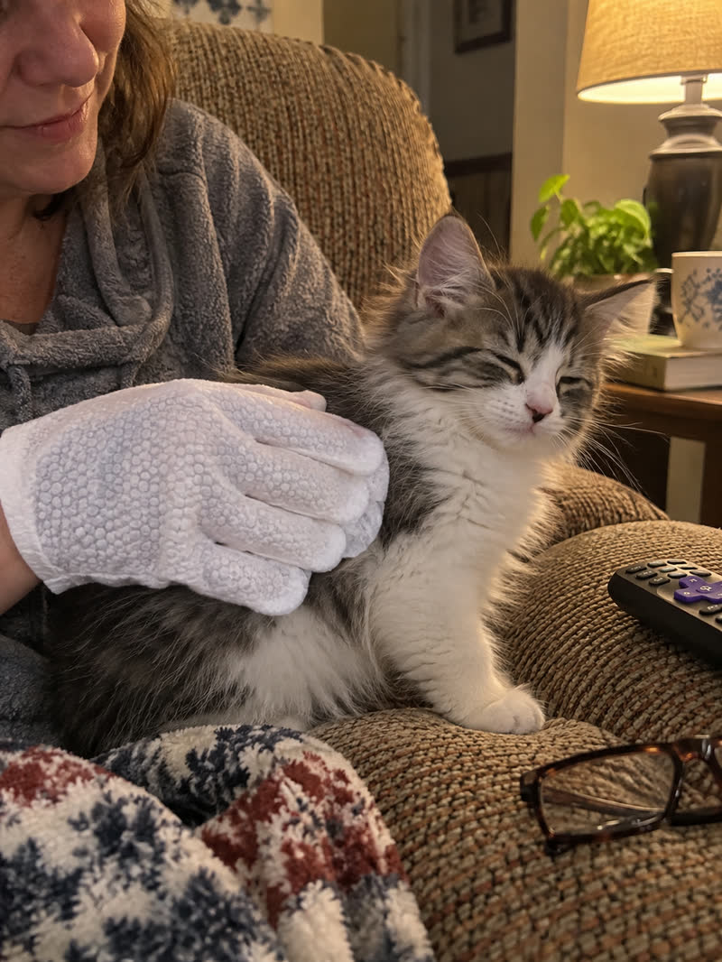 Customer using HICC PET glove wipes — review 10