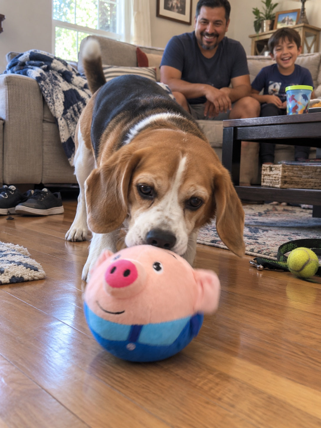 Customer family watching dog chase bouncing pig toy