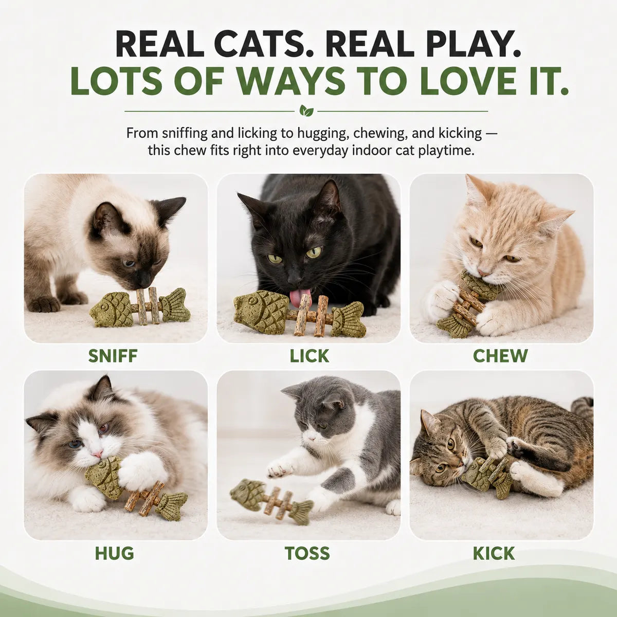 PurrFin®-Catnip & Silvervine Chew 🐾 🌿 Keep Your Indoor Cat Busy, Happy & Away From Your Stuff