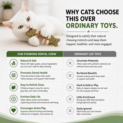 PurrFin®-Catnip & Silvervine Chew 🐾 🌿 Keep Your Indoor Cat Busy, Happy & Away From Your Stuff