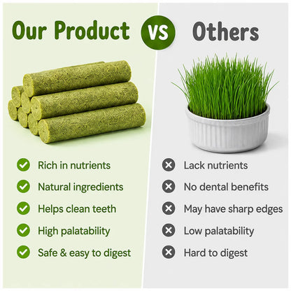 PurrSprout®-CAT GRASS TEETHING STICK 🐱 🌿 A Tasty Cat-Grass Chew for Treating, Chewing & Play
