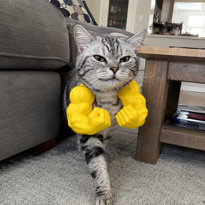 Dluvivo®-FUN GIANT MUSCULAR ARMS FOR PETS