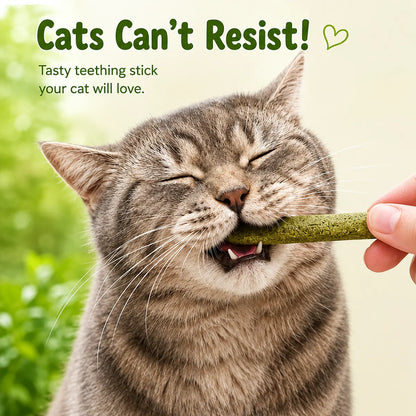 PurrSprout®-CAT GRASS TEETHING STICK 🐱 🌿 A Tasty Cat-Grass Chew for Treating, Chewing & Play