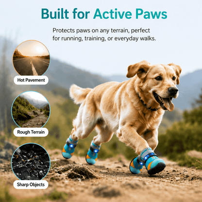 Noxivelle® LED Dog Shoes – Light Up Every Step