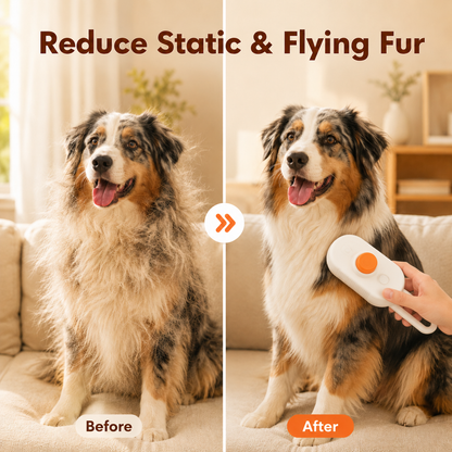 4-in-1  Rechargeable Pet Steam Brush（upsell-mst）