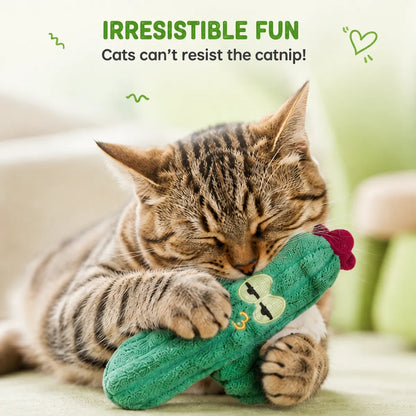 PAWSIBLE® 🌵 🐾 Organic Catnip Cactus Toys — 5-Pack for Indoor Cats