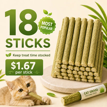 PurrSprout®-CAT GRASS TEETHING STICK 🐱 🌿 A Tasty Cat-Grass Chew for Treating, Chewing & Play