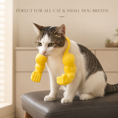 Dluvivo®-FUN GIANT MUSCULAR ARMS FOR PETS