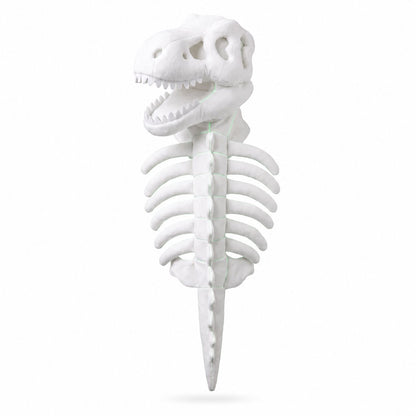 White glow-in-the-dark dinosaur skeleton pet costume