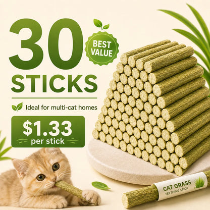 PurrSprout®-CAT GRASS TEETHING STICK 🐱 🌿 A Tasty Cat-Grass Chew for Treating, Chewing & Play