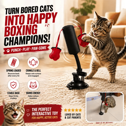 🎶PawBoxa® Interactive Cat Boxing Toy — Bounce-Back Solo Play for Indoor Cats