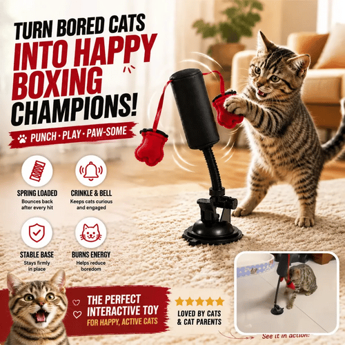 🎶PawBoxa® Interactive Cat Boxing Toy — Bounce-Back Solo Play for Indoor Cats
