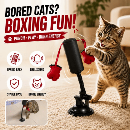 🔥 LAST DAY: 44% OFF + FREE SHIPPING PawBoxa® Interactive Cat Boxing Toy