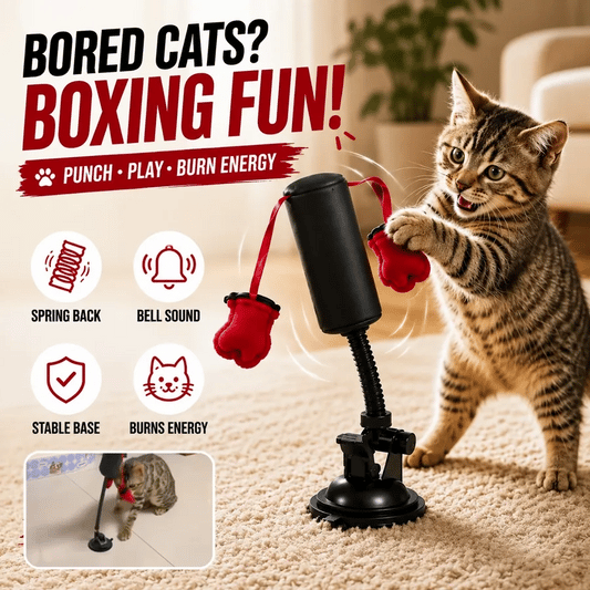 🔥 LAST DAY: 44% OFF + FREE SHIPPING PawBoxa® Interactive Cat Boxing Toy