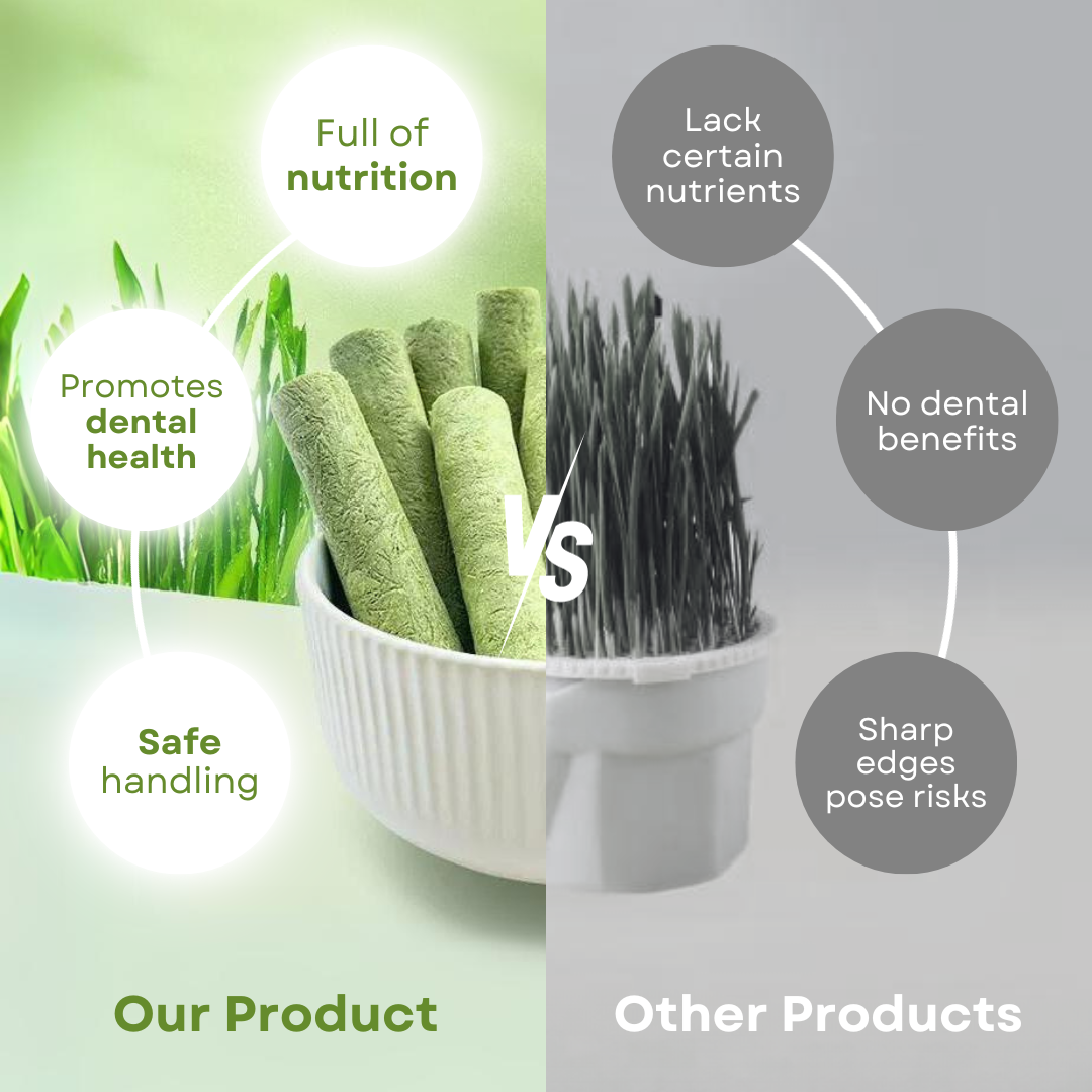CAT GRASS TEETHING STICK 🐱 🌿 A Tasty Cat-Grass Chew for Treating, Chewing & Play