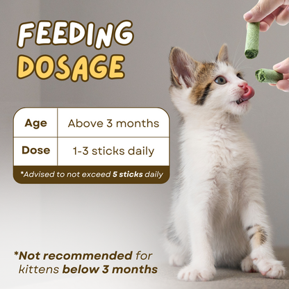CAT GRASS TEETHING STICK 🐱 🌿 A Tasty Cat-Grass Chew for Treating, Chewing & Play