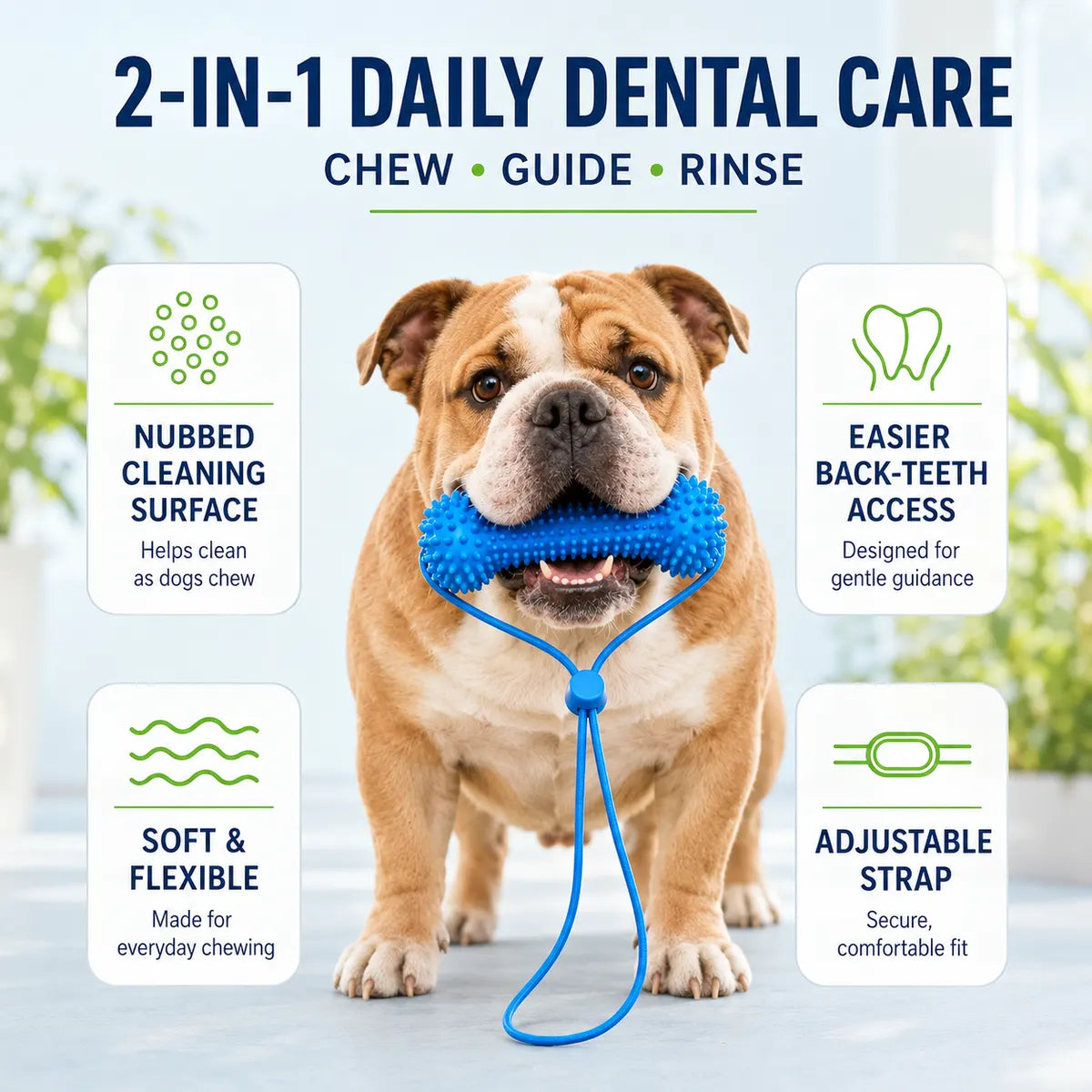 2-in-1 Dog Dental Cleaning Chew Toy