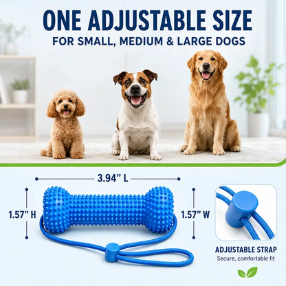 2-in-1 Dog Dental Cleaning Chew Toy