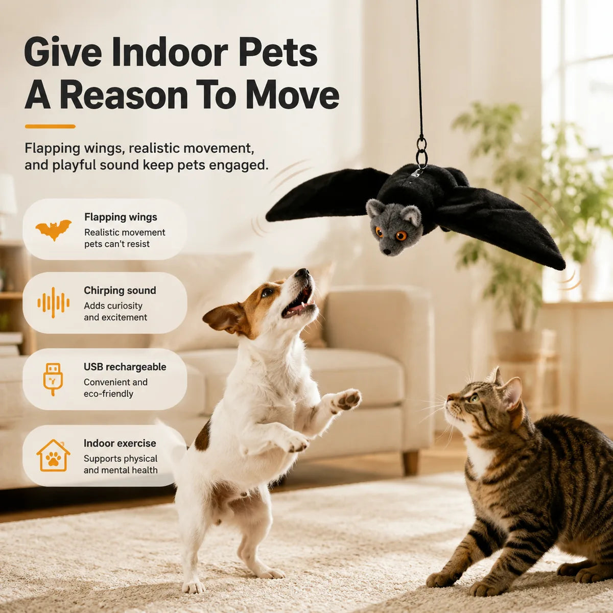 Give indoor pets a reason to move