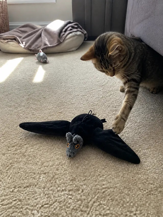 Customer review photo 01 showing flapping bat pet toy in a real home