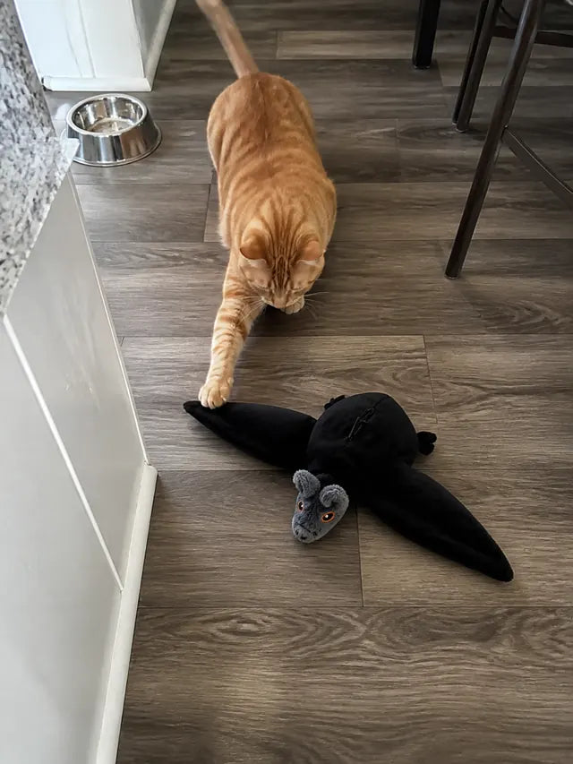 Customer review photo 03 showing flapping bat pet toy in a real home