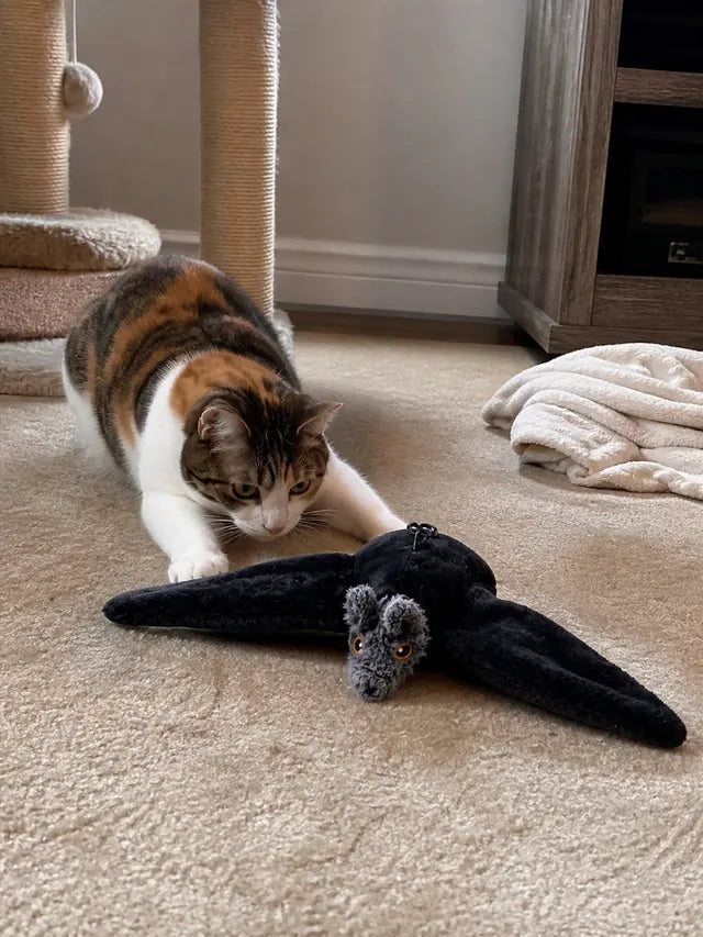 Customer review photo 06 showing flapping bat pet toy in a real home