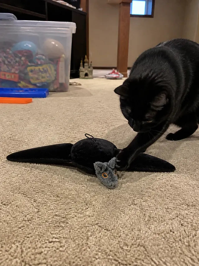 Customer review photo 08 showing flapping bat pet toy in a real home
