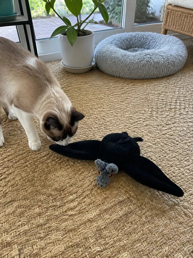Customer review photo 09 showing flapping bat pet toy in a real home