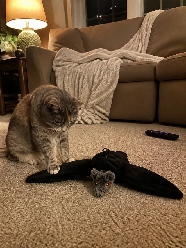 Customer review photo 10 showing flapping bat pet toy in a real home