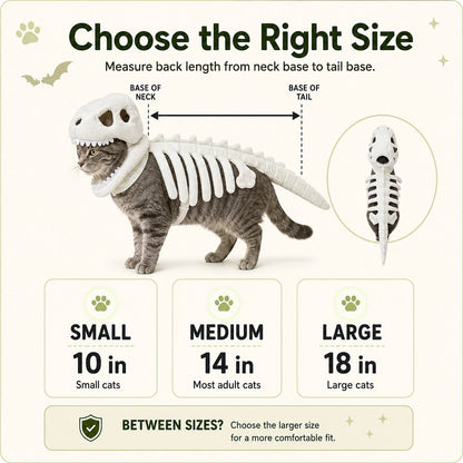 Dinosaur skeleton pet costume size guide