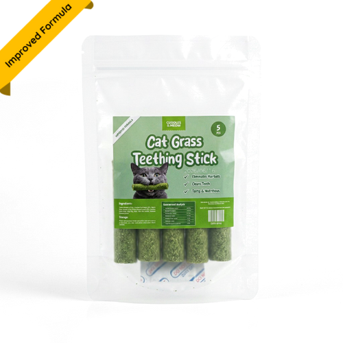 CAT GRASS TEETHING STICK 🐱 🌿 A Tasty Cat-Grass Chew for Treating, Chewing & Play