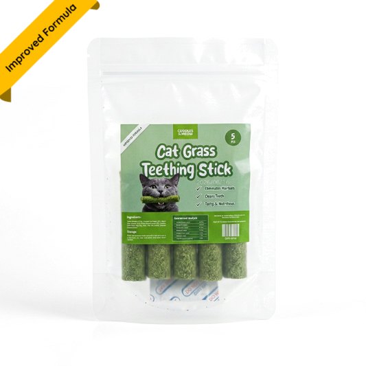CAT GRASS TEETHING STICK 🐱 🌿 A Tasty Cat-Grass Chew for Treating, Chewing & Play