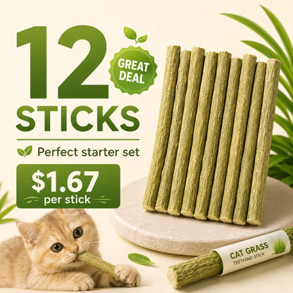 PurrSprout®-CAT GRASS TEETHING STICK 🐱 🌿 A Tasty Cat-Grass Chew for Treating, Chewing & Play