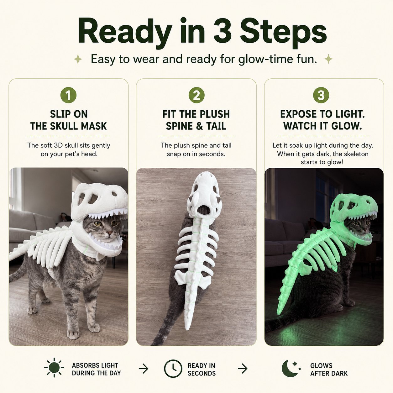 Three-step dinosaur skeleton pet costume setup guide