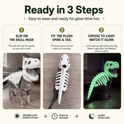 Three-step dinosaur skeleton pet costume setup guide