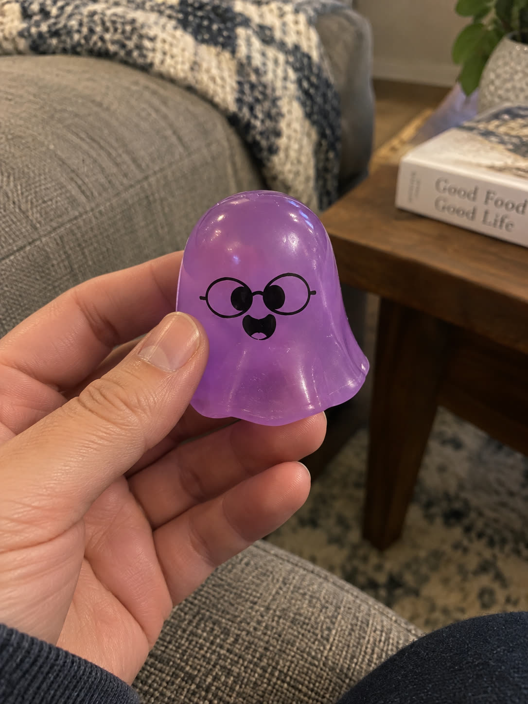 Customer review scene showing the ghost toy held on a sofa