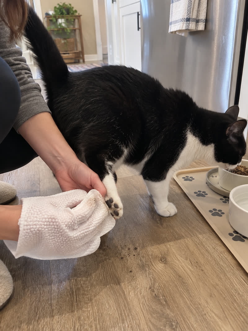 Customer using HICC PET glove wipes — review 08