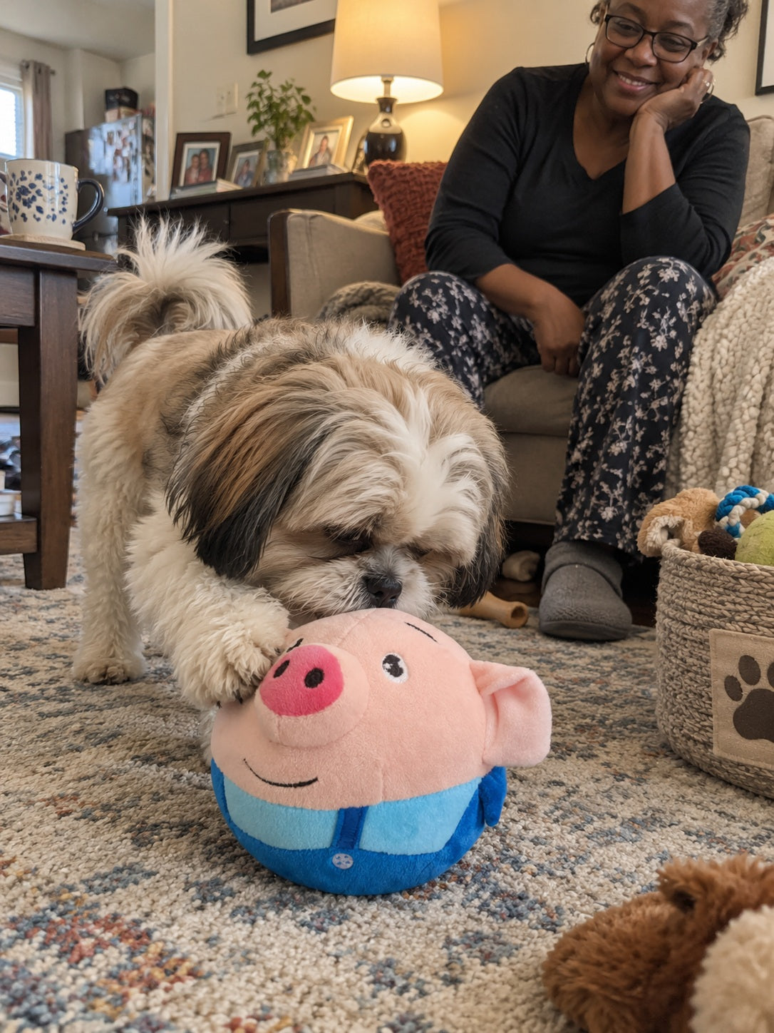 Customer dog playing with bouncing pig toy under supervision