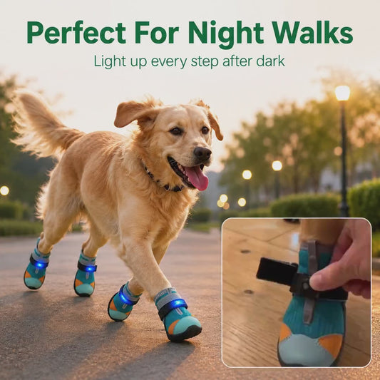 Noxivelle® LED Dog Shoes – Light Up Every Step