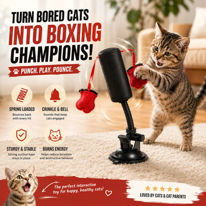 💕PawBoxa® Interactive Cat Punching Bag Toy 🥊🐾 Spring-Loaded Play Gym for Indoor Cats