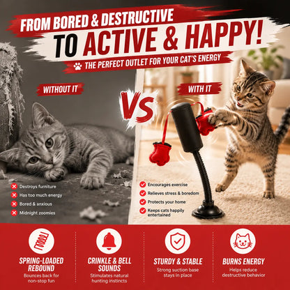 💕PawBoxa® Interactive Cat Punching Bag Toy 🥊🐾 Spring-Loaded Play Gym for Indoor Cats